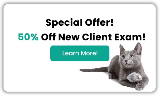 Special Offer! 50% Off New Client Exam! Learn More!