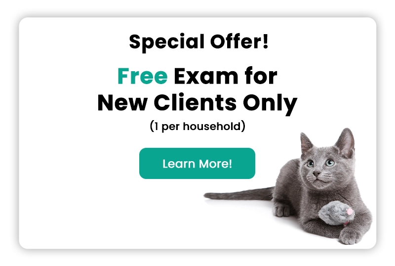 Special Offer! Free Exam for New Clients Only! Learn More!